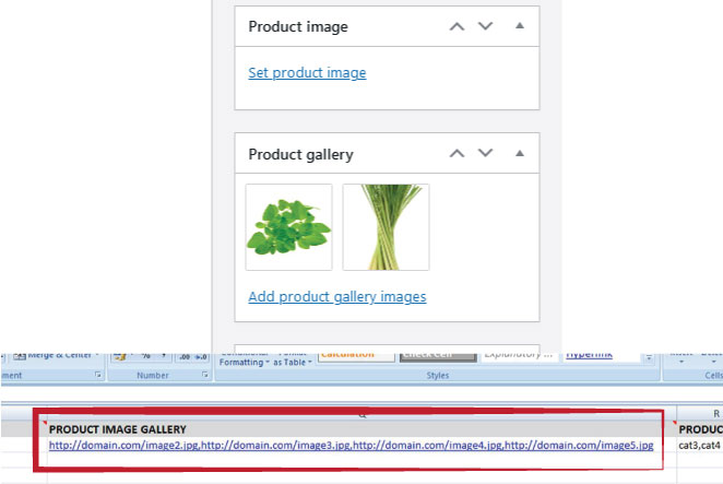 import product image gallery woocommerce excel